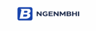 Logo NGENMBHI – Secure Network Engineering